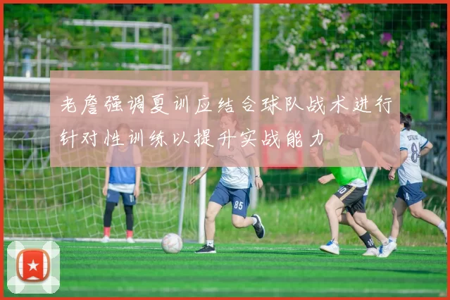 老詹强调夏训应结合球队战术进行针对性训练以提升实战能力
