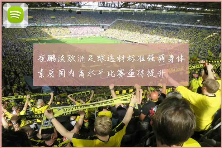 崔鹏谈欧洲足球选材标准强调身体素质国内高水平比赛亟待提升