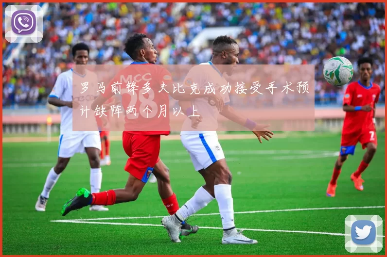 罗马前锋多夫比克成功接受手术预计缺阵两个月以上