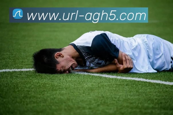 AG娱乐服务体系